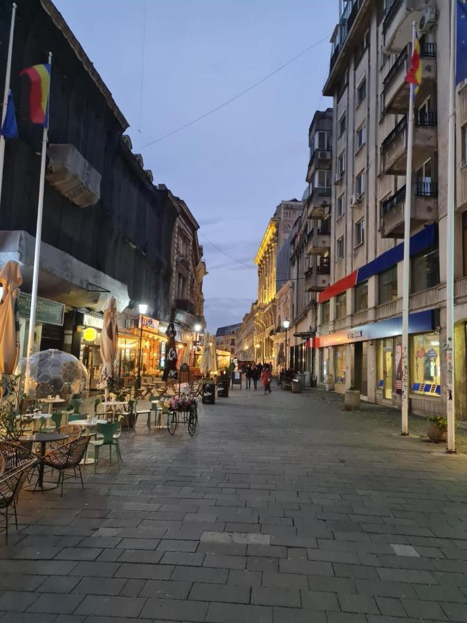 布加勒斯特Color Ap Calea Victoriei 12C公寓 外观 照片